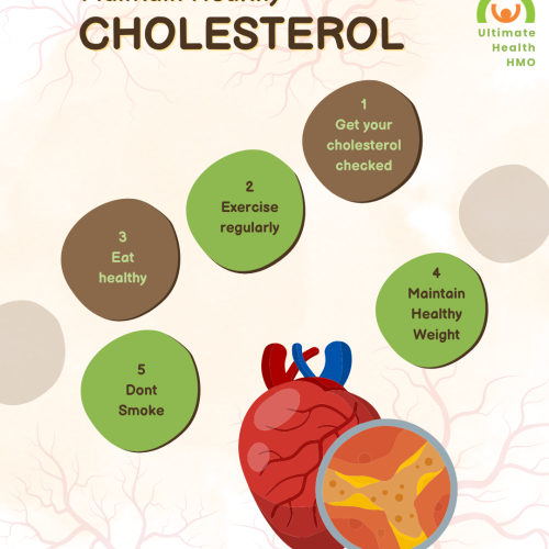 TIPS TO MAINTAIN HEALTHY CHOLESTEROL